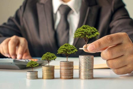 ویزای سرمایه‌گذاری